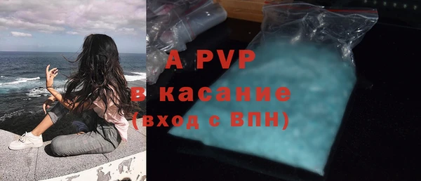 прущая мука Пересвет