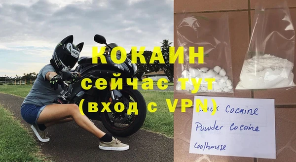 крисы Абаза
