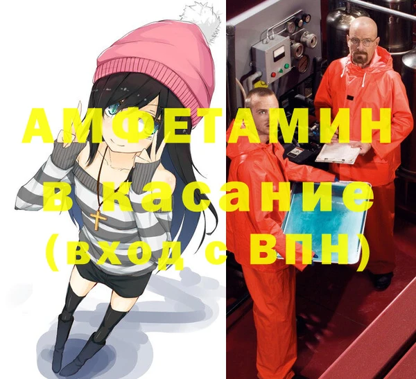 крисы Абаза