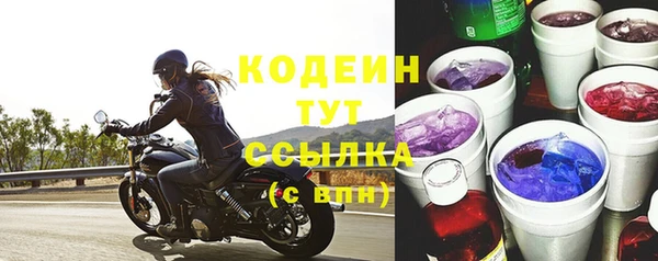 крисы Абаза