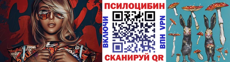 Галлюциногенные грибы Psilocybine cubensis Симферополь