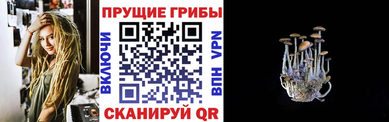 Псилоцибиновые грибы ЛСД купить Симферополь